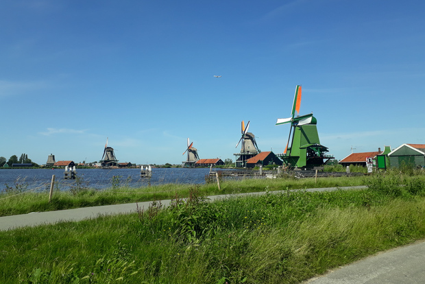 Da Amsterdam: tour privato dei mulini a vento di Zaanse Schans