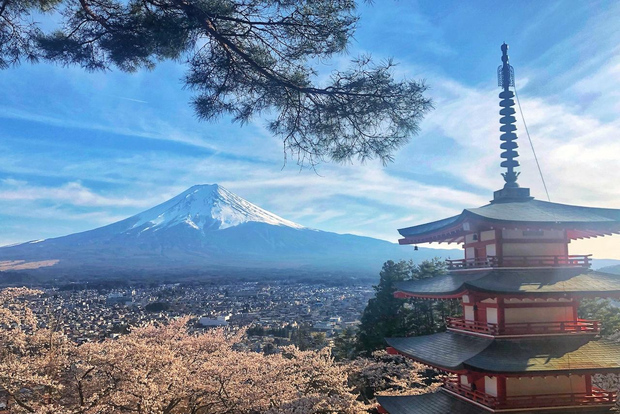 Da Tokyo: viaggio privato al Monte Fuji e al Lago Kawaguchi