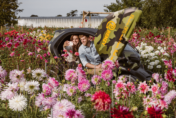 Lisse: Audio tour GPS dei fiori estivi con guida autonoma