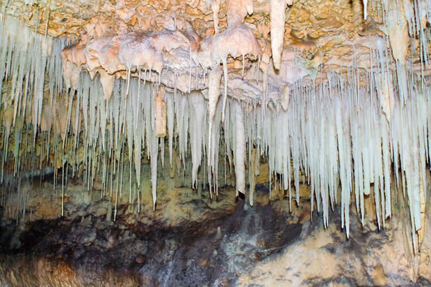 Au départ de George Town : visite des grottes de cristal des Caïmans avec transfert