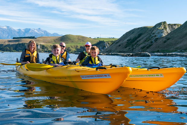 Kaikoura: avventura guidata in kayak per famiglie
