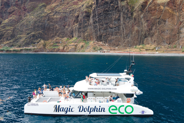 Da Funchal: Catamarano ecologico per l'osservazione dei delfini e delle balene