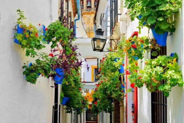 Cordova: tour a piedi dei monumenti storici della città di Cordova