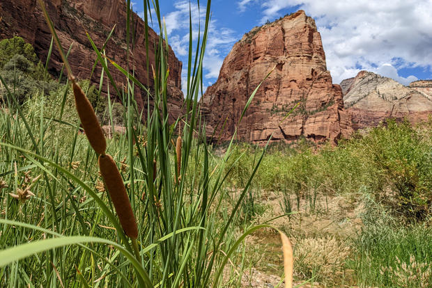 From Las Vegas: Zion National Park Small Group Adventure