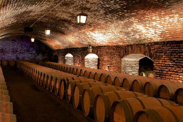 Santiago: Concha y Toro Vineyard Tour mit Transfer und Verkostung