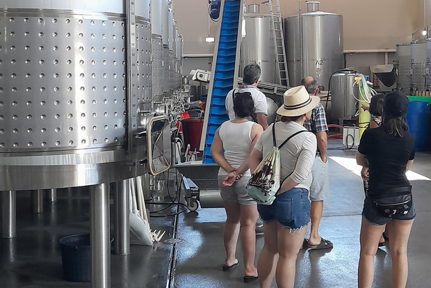 Albufeira: tour guidato della costa dell'Algarve con degustazione di vini