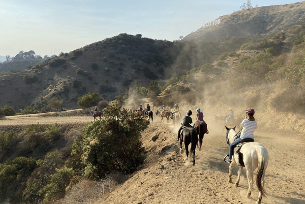 洛杉矶：穆赫兰道骑马之旅