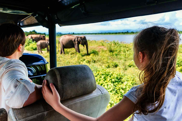 从科伦坡出发：亚拉国家公园野生动物园之旅（含接送服务）