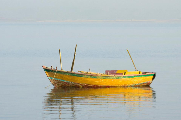 Desde El Cairo: Oasis de Fayoum y Wadi Al Rayan Visita guiada
