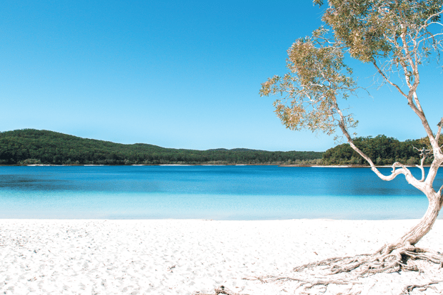 From Rainbow Beach: K'gari, Fraser Island Two-Day Coach Tour