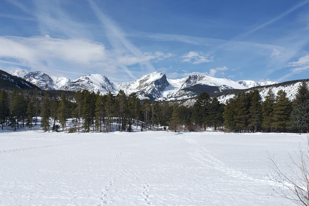 Från Denver: Rocky Mountain National Park vinter/vår-tur
