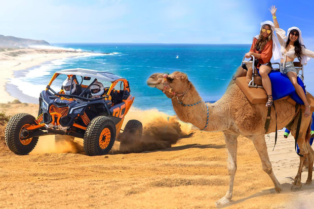 Cabo San Lucas: Camel Ride & Off-Road UTV Combo Adventure