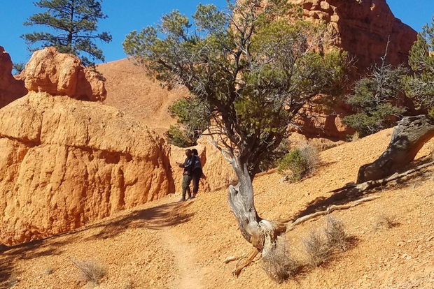 From Las Vegas: Zion and Bryce Canyon Guided Day Tour
