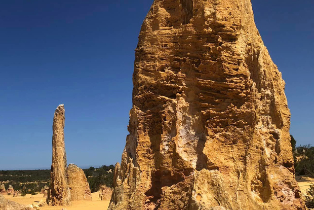 Desde Perth: Excursión de un día a los Pináculos y al Parque Nacional de Nambung