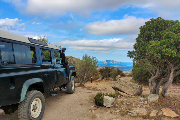 圣特奥多罗：里约皮特里斯科尼吉普车和徒步旅行