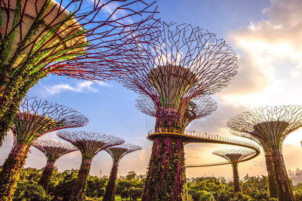 Singapore: Biglietto d'ingresso per il bundle dei Gardens by the Bay