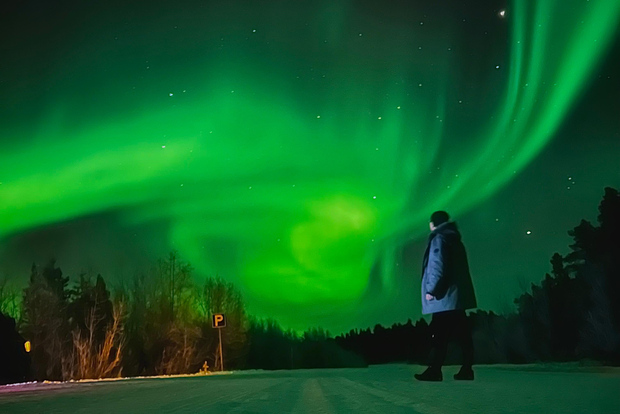 Da Rovaniemi: caccia all'aurora in Lapponia con barbecue