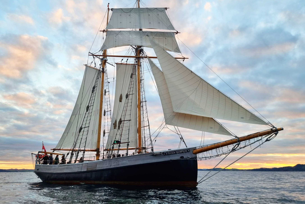 Bay of Islands: Segeltörn am späten Nachmittag