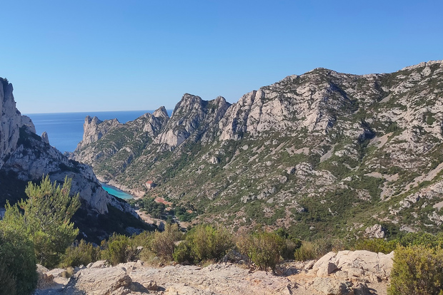 Från Marseille: Cassis 4 timmar