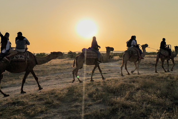 Cappadocia: Sunset or Sunrise Scenic Camel Ride
