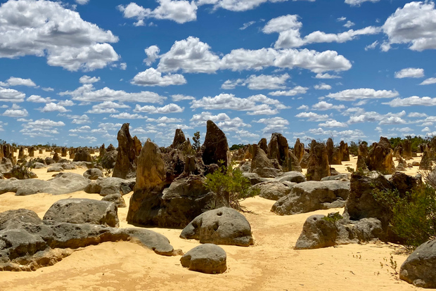 Perth Excursión guiada a pie por el desierto de Pinnacles con almuerzo