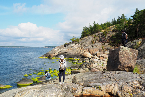 Из Хельсинки: экскурсия по архипелагу в Порккаланиеми
