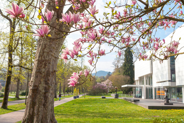 Baden-Baden: Best of Baden-Baden