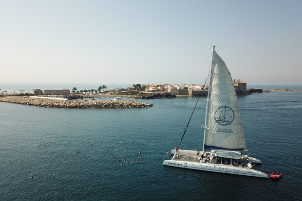 Alicante: crociera in catamarano di 6 ore all'isola di Tabarca