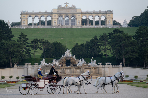 Vienna: Giro in carrozza attraverso i giardini del Castello di Schönbrunn