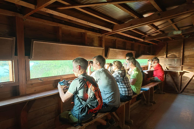 Таррагона: частный тур по наблюдению за птицами в южной дельте
