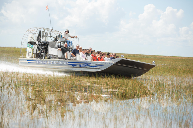 Everglades: Tour in motoscafo diurno del Parco Sawgrass e mostre