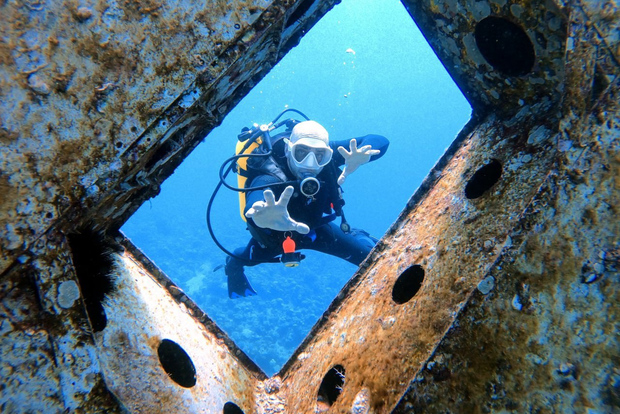 Aqaba: immersioni private nel Mar Rosso per principianti o esperti