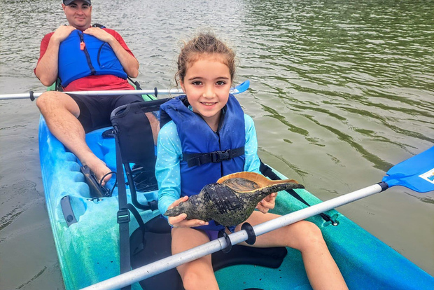 Marco Island: Kayak Mangrove Ecotour in Rookery Bay Reserve