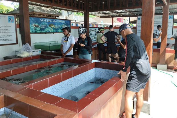 From Denpasar: Sanur Village & Turtle Sanctuary E-Bike Tour