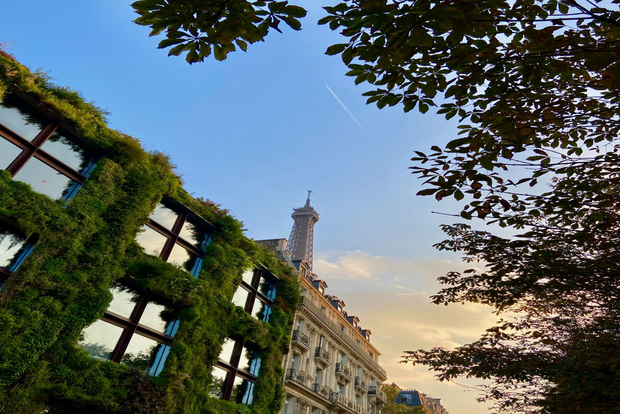 Paris: Quai Branly Museum Ticket & Optional Seine Cruise