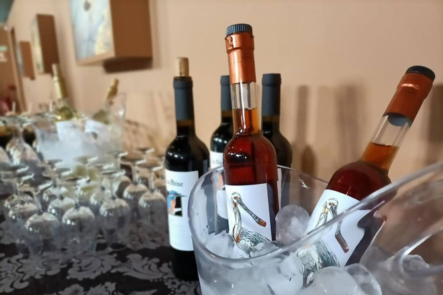 从里斯本出发：塞图巴尔和阿拉比达的私人葡萄酒之旅