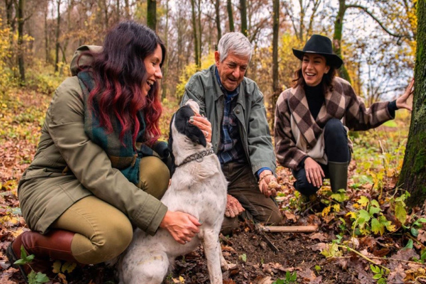 朗格：松露狩猎之旅