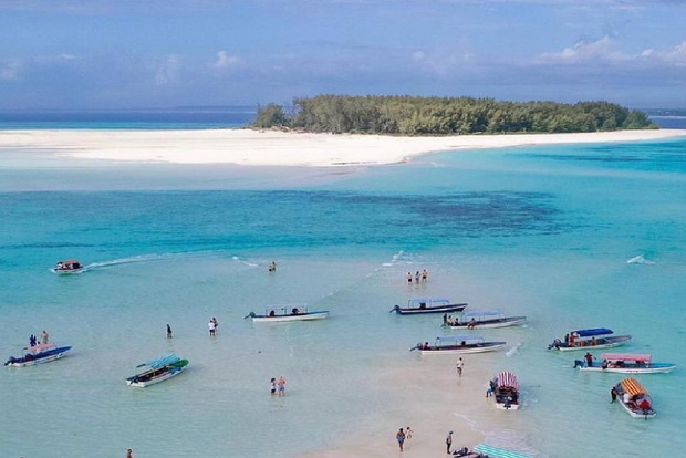 Sansibar: Mnemba Island Private Snorkeling Tour mit Abholung