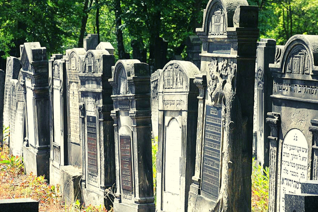 Från Warszawa: Tur i liten grupp till Lodz med lunch