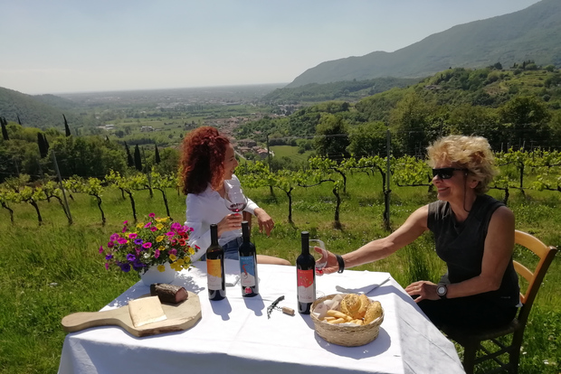 Botticino (BS): cata de vinos en Noventa