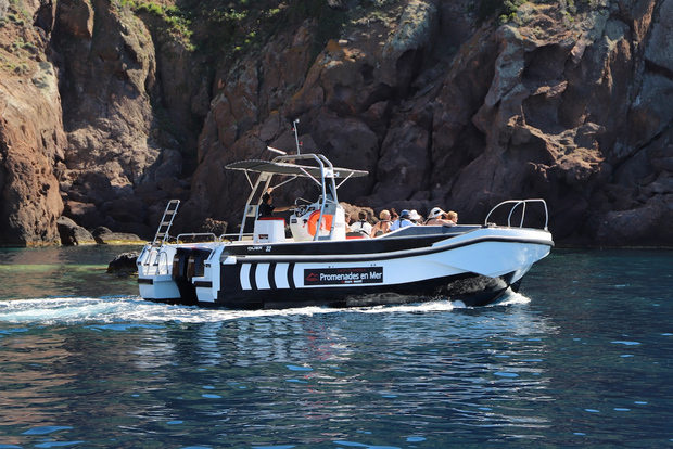 Calvi till Scandola: 4-timmars båttur