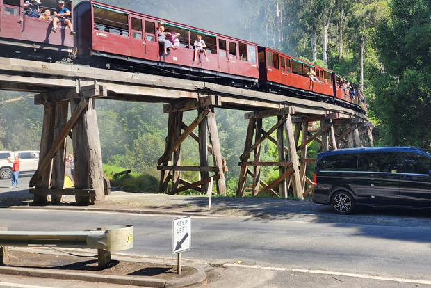 Desde Melbourne: Puffing Billy Tour privado - Hasta 11 pax