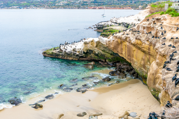 The Best of La Jolla Walking Tour - Sip, Savor & Sea