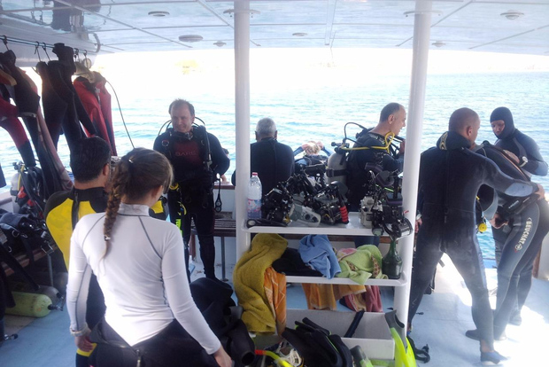 Aqaba : 2 plongées guidées en bateau avec équipement et déjeuner buffet