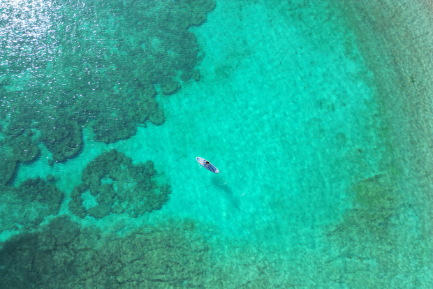 Mascate: tour delle isole Daymaniat