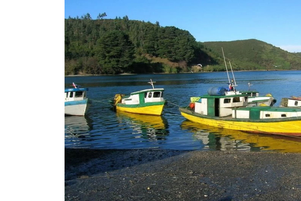 Privado. City Tour Puerto Montt y Puerto Varas