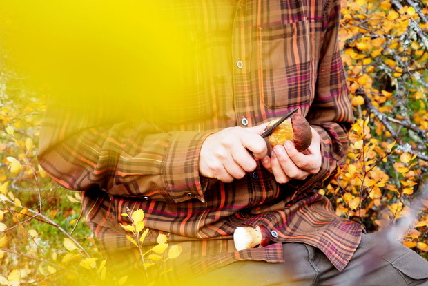 Da Helsinki: tour di caccia ai funghi in un parco nazionale