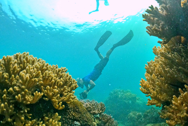 Sur de Phú Quốc: tour de snorkel en lancha motora (máx. 10)