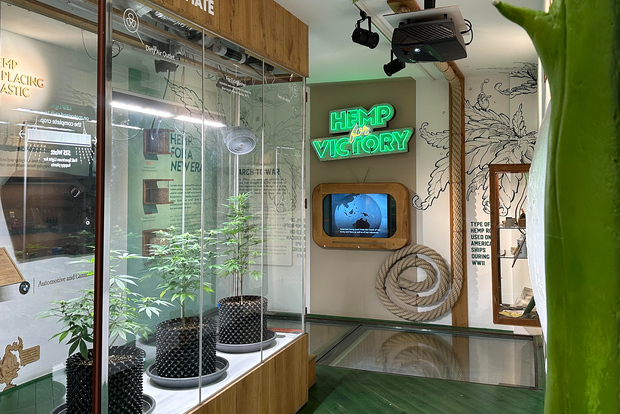 Amsterdam: Entrada al Museo del Cannabis