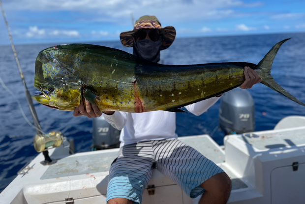 塞舌尔：带接送和设备的导游钓鱼之旅